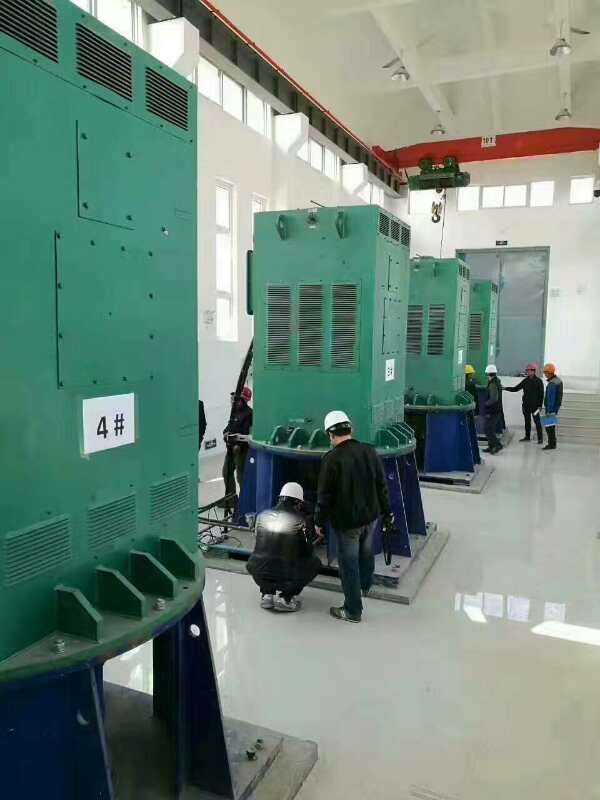 黄浦某污水处理厂使用我厂的立式高压电机安装现场