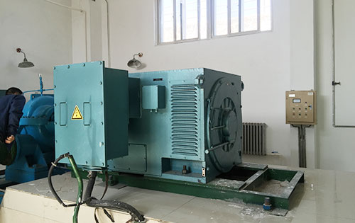 黄浦某水电站工程主水泵使用我公司高压电机